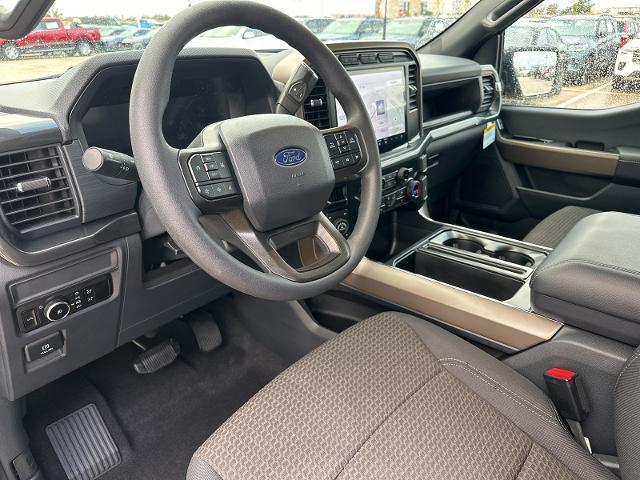 2024 Ford F-150 Vehicle Photo in Terrell, TX 75160