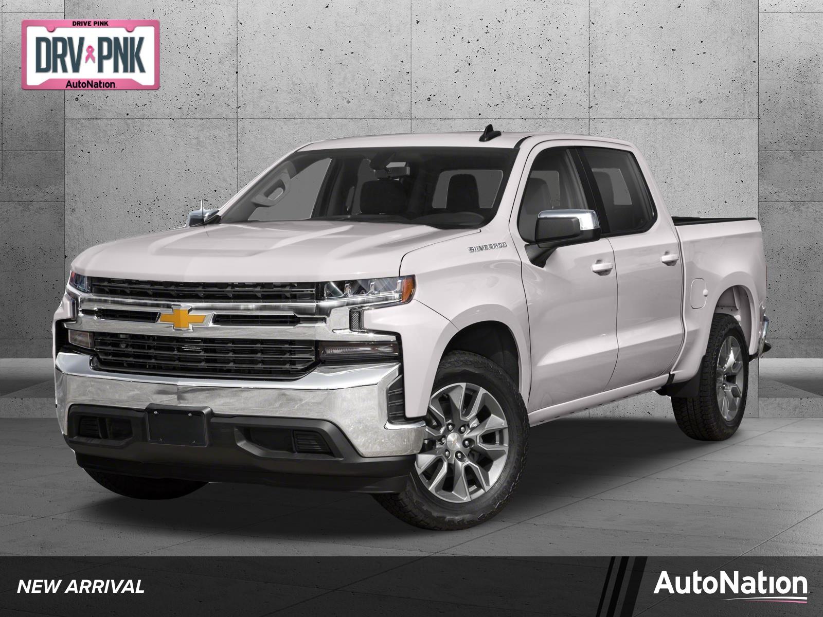 2019 Chevrolet Silverado 1500 Vehicle Photo in Jacksonville, FL 32256