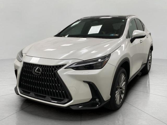 2022 Lexus NX 350 Vehicle Photo in Appleton, WI 54913