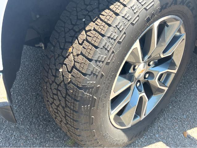 2024 Chevrolet Silverado 1500 Vehicle Photo in BEAUFORT, SC 29906-4218