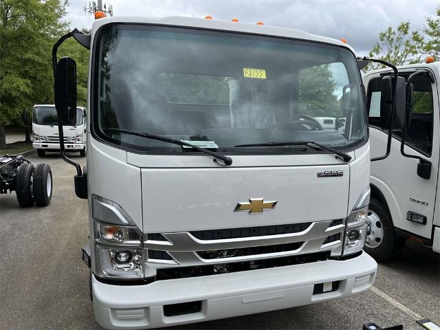 2025 Chevrolet Low Cab Forward 3500 Vehicle Photo in ALCOA, TN 37701-3235