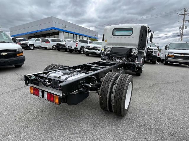 2024 Chevrolet Low Cab Forward 4500 Vehicle Photo in ALCOA, TN 37701-3235