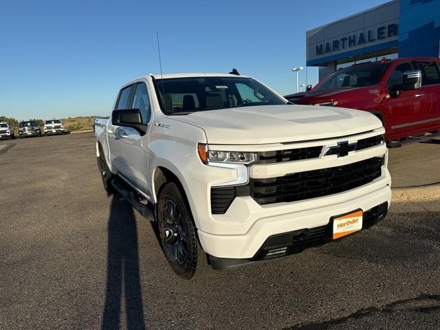 2024 Chevrolet Silverado 1500 Vehicle Photo in GLENWOOD, MN 56334-1123