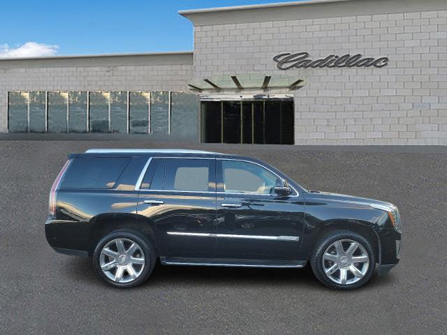 2019 Cadillac Escalade Vehicle Photo in TREVOSE, PA 19053-4984