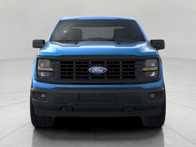 2024 Ford F-150 Vehicle Photo in Neenah, WI 54956