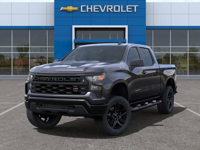 2024 Chevrolet Silverado 1500 Vehicle Photo in WACO, TX 76710-2592