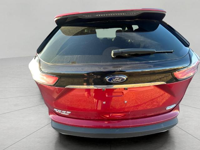 2020 Ford Edge Vehicle Photo in Green Bay, WI 54304