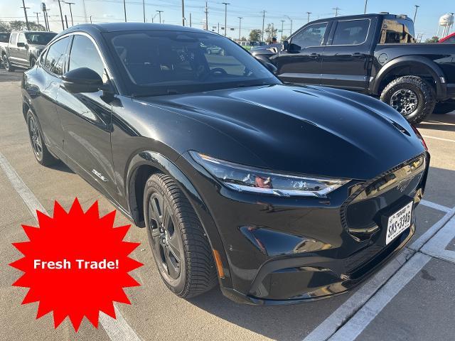 2023 Ford Mustang Mach-E Vehicle Photo in Pilot Point, TX 76258