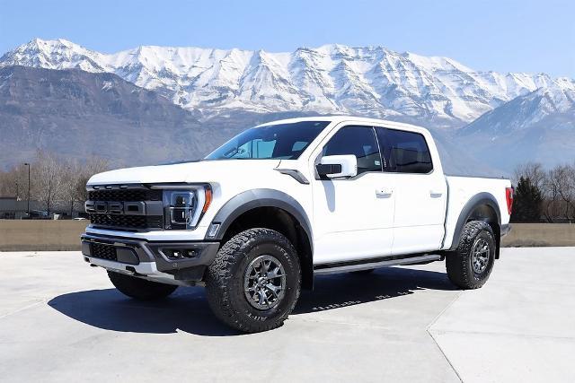 2021 Ford F-150 Vehicle Photo in AMERICAN FORK, UT 84003-3317