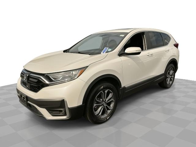 2022 Honda CR-V Vehicle Photo in WILLIAMSVILLE, NY 14221-4303