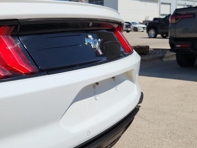 2020 Ford Mustang Vehicle Photo in Odessa, TX 79762