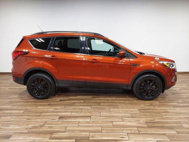 2019 Ford Escape Vehicle Photo in SAUK CITY, WI 53583-1301