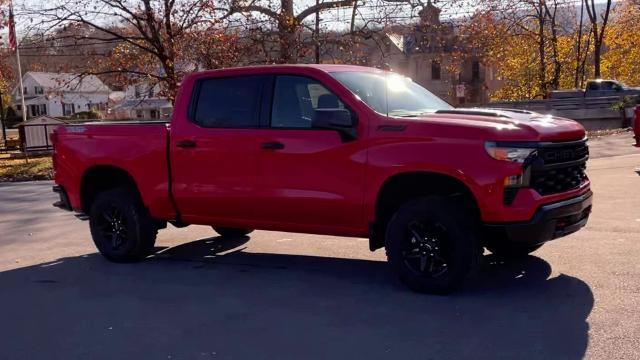 2024 Chevrolet Silverado 1500 Vehicle Photo in THOMPSONTOWN, PA 17094-9014