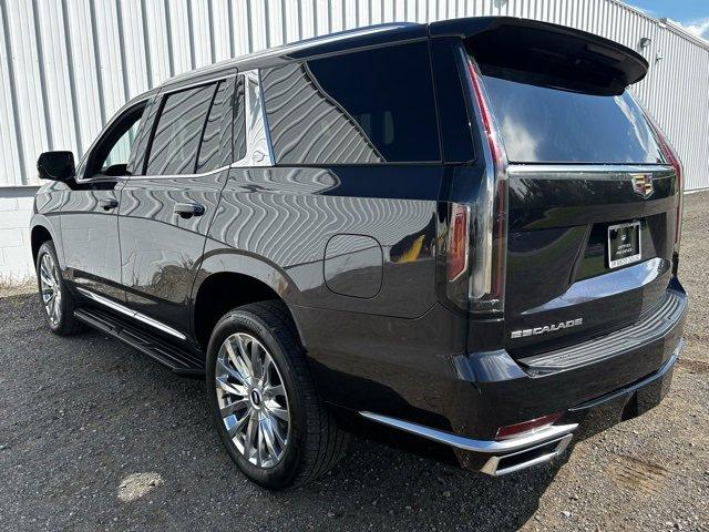 2022 Cadillac Escalade Vehicle Photo in JACKSON, MI 49202-1834