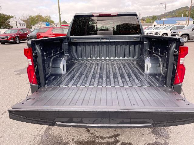 2020 Chevrolet Silverado 1500 Vehicle Photo in THOMPSONTOWN, PA 17094-9014