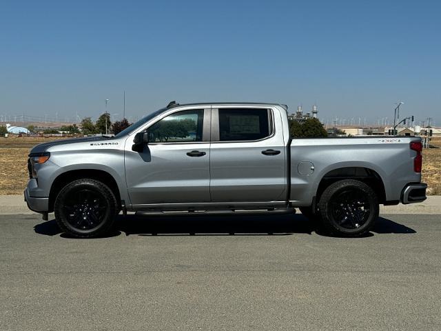 2024 Chevrolet Silverado 1500 Vehicle Photo in PITTSBURG, CA 94565-7121