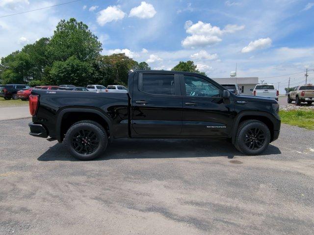 2024 GMC Sierra 1500 Vehicle Photo in ALBERTVILLE, AL 35950-0246