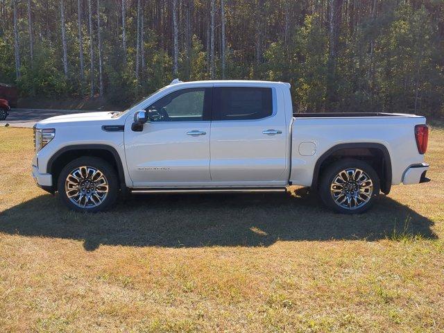 2025 GMC Sierra 1500 Vehicle Photo in ALBERTVILLE, AL 35950-0246