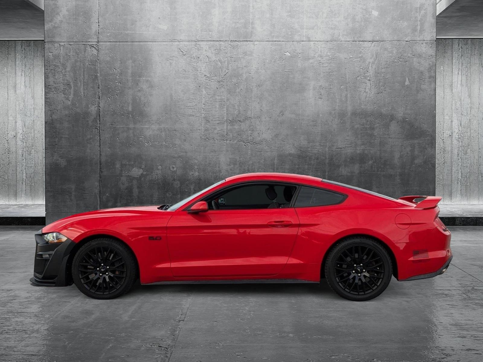 2019 Ford Mustang Vehicle Photo in St. Petersburg, FL 33713