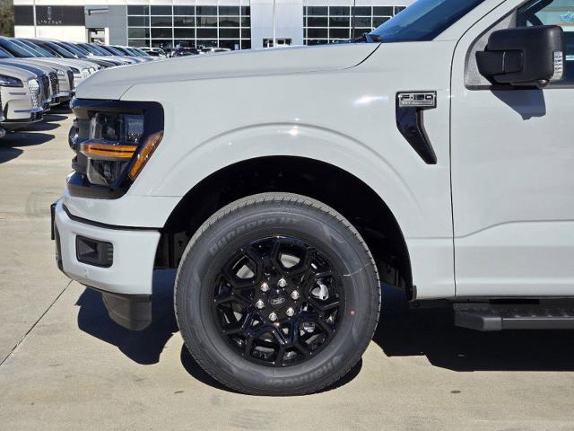 2024 Ford F-150 Vehicle Photo in STEPHENVILLE, TX 76401-3713