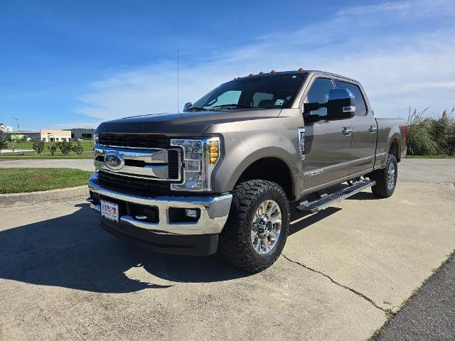 2019 Ford F250 Vehicle Photo in BROUSSARD, LA 70518-0000