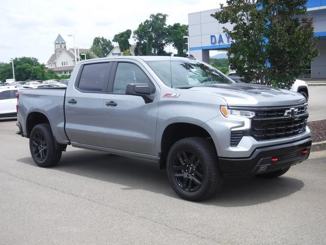 2024 Chevrolet Silverado 1500 Vehicle Photo in JASPER, GA 30143-8655