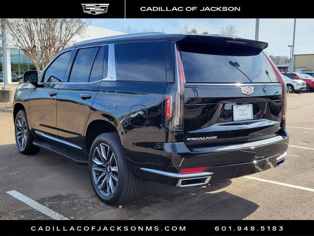 2023 Cadillac Escalade Vehicle Photo in RIDGELAND, MS 39157-4406