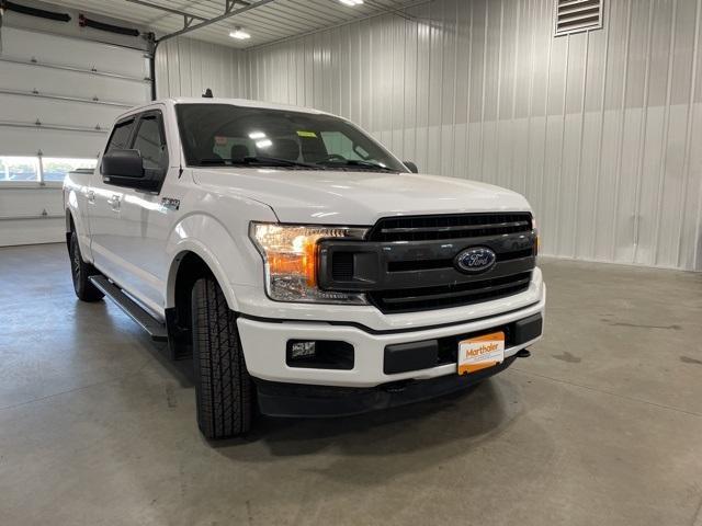 2020 Ford F-150 Vehicle Photo in GLENWOOD, MN 56334-1123