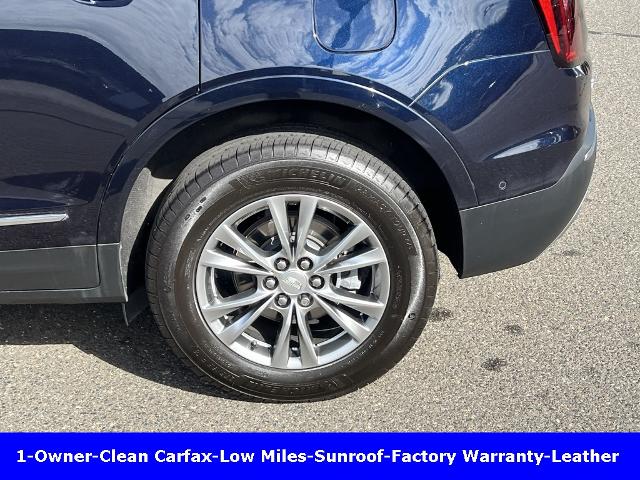 2021 Cadillac XT5 Vehicle Photo in CHICOPEE, MA 01020-5001