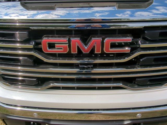 2025 GMC Sierra 1500 Vehicle Photo in ALBERTVILLE, AL 35950-0246