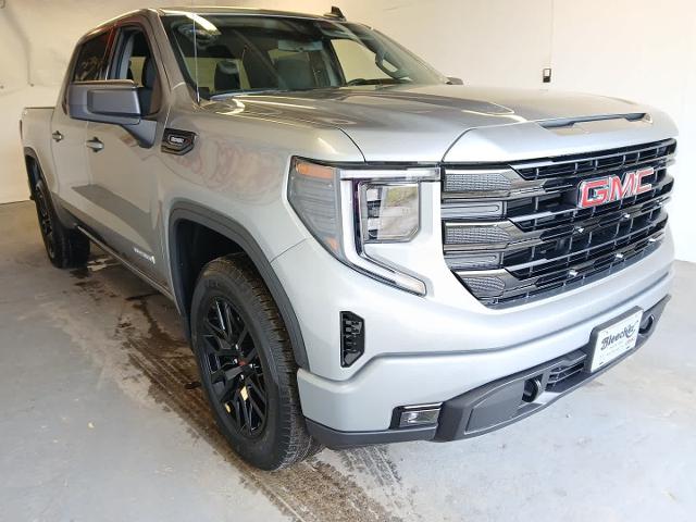 2025 GMC Sierra 1500 Vehicle Photo in RED SPRINGS, NC 28377-1640