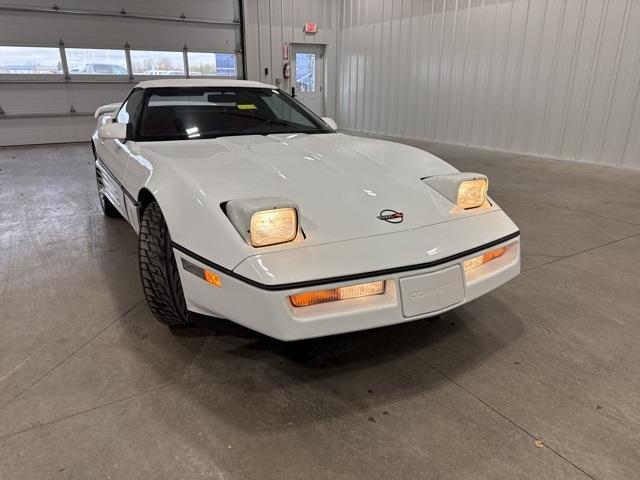 1990 Chevrolet Corvette Vehicle Photo in GLENWOOD, MN 56334-1123