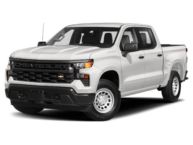 2023 Chevrolet Silverado 1500 Vehicle Photo in AKRON, OH 44303-2330