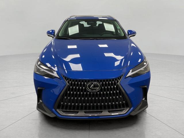 2025 Lexus NX 350 Vehicle Photo in Appleton, WI 54913