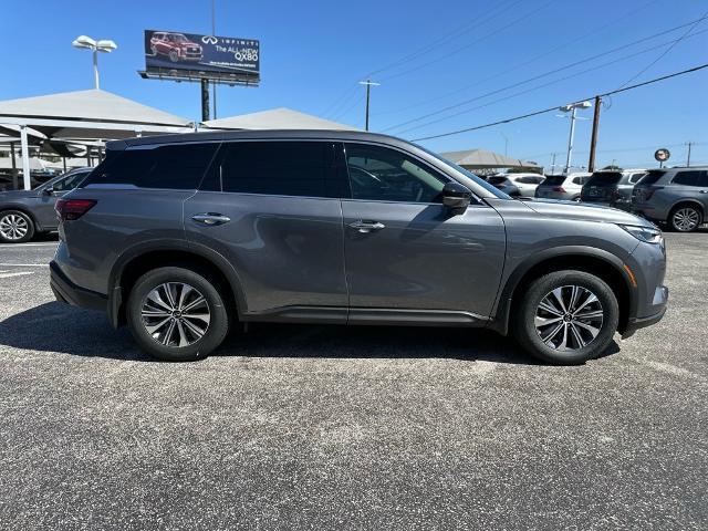 2024 INFINITI QX60 Vehicle Photo in San Antonio, TX 78230