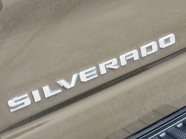 2023 Chevrolet Silverado 1500 Vehicle Photo in HOUSTON, TX 77054-4802