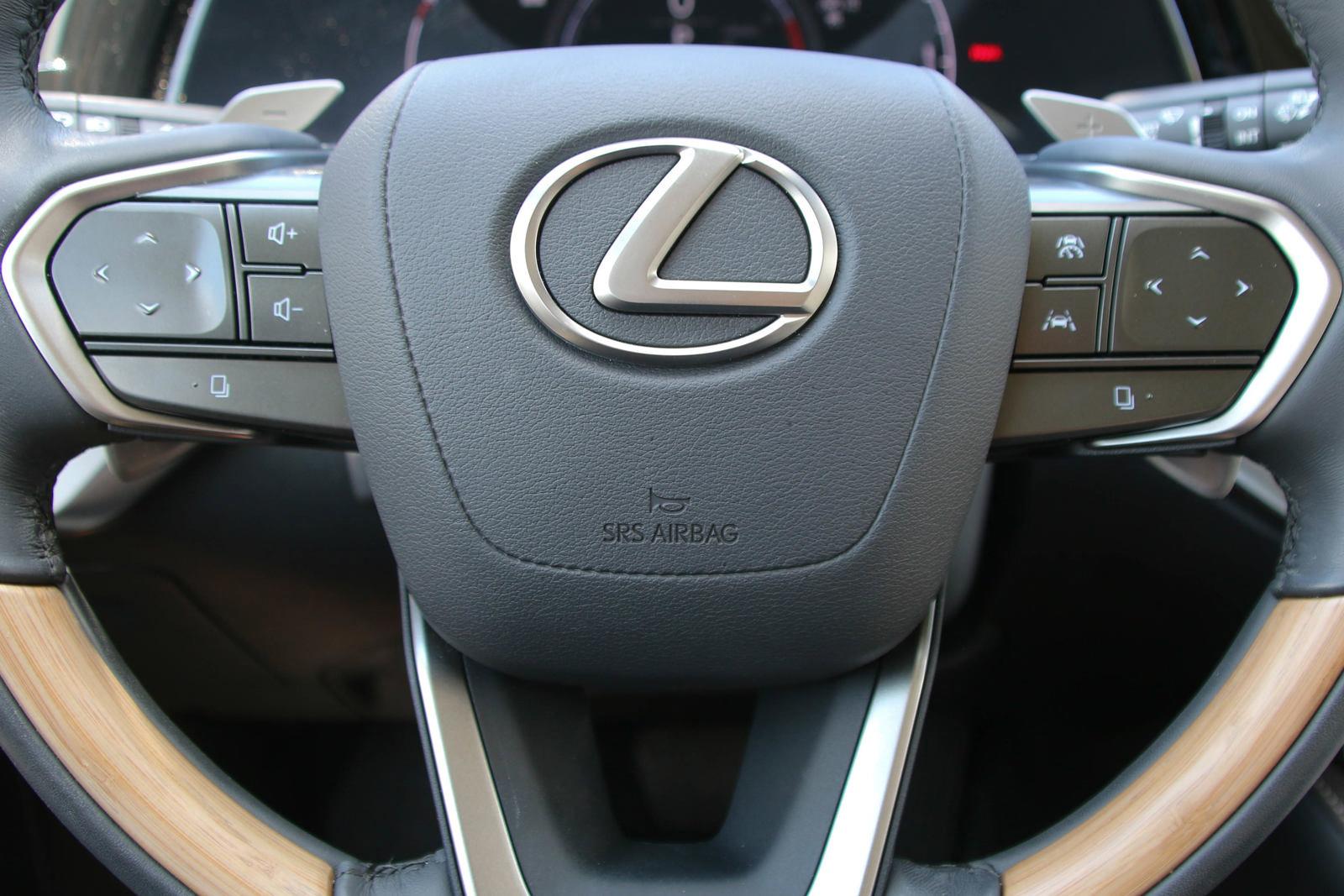 2024 Lexus RX 350 Vehicle Photo in SUGAR LAND, TX 77478