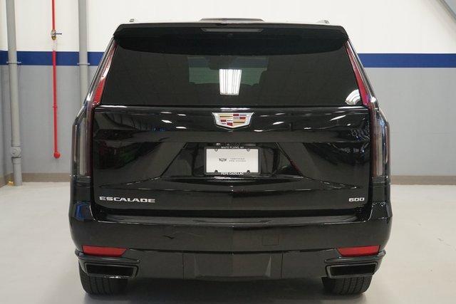 2022 Cadillac Escalade ESV Vehicle Photo in White Plains, NY 10601