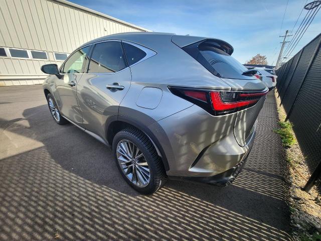 2022 Lexus NX Vehicle Photo in MADISON, WI 53713-3220