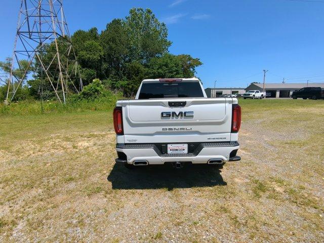 2024 GMC Sierra 1500 Vehicle Photo in ALBERTVILLE, AL 35950-0246