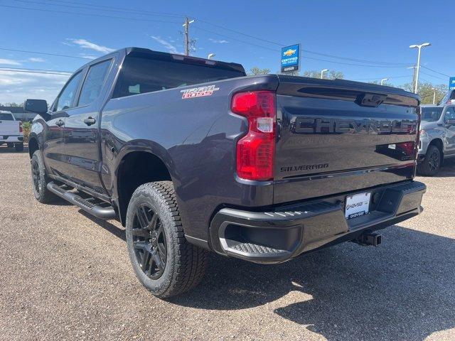 2024 Chevrolet Silverado 1500 Vehicle Photo in SAUK CITY, WI 53583-1301