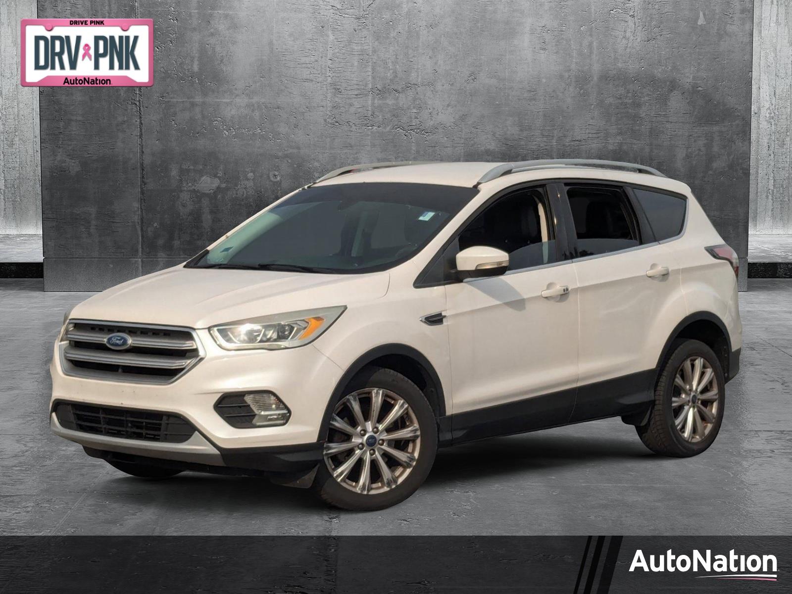 2017 Ford Escape Vehicle Photo in St. Petersburg, FL 33713