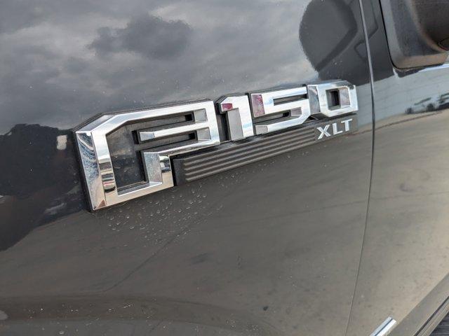 2017 Ford F-150 Vehicle Photo in SELMA, TX 78154-1459