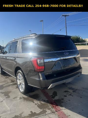 2019 Ford Expedition Vehicle Photo in Stephenville, TX 76401-3713