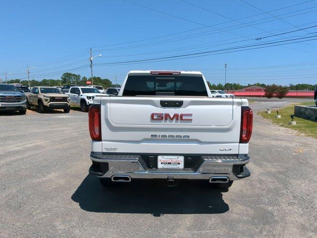 2024 GMC Sierra 1500 Vehicle Photo in ALBERTVILLE, AL 35950-0246