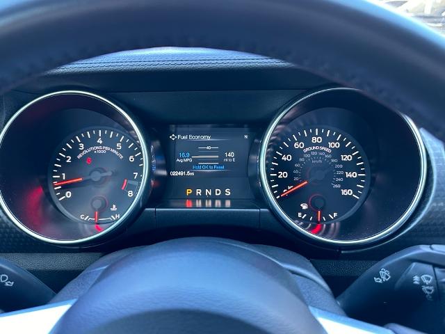 2020 Ford Mustang Vehicle Photo in San Antonio, TX 78230