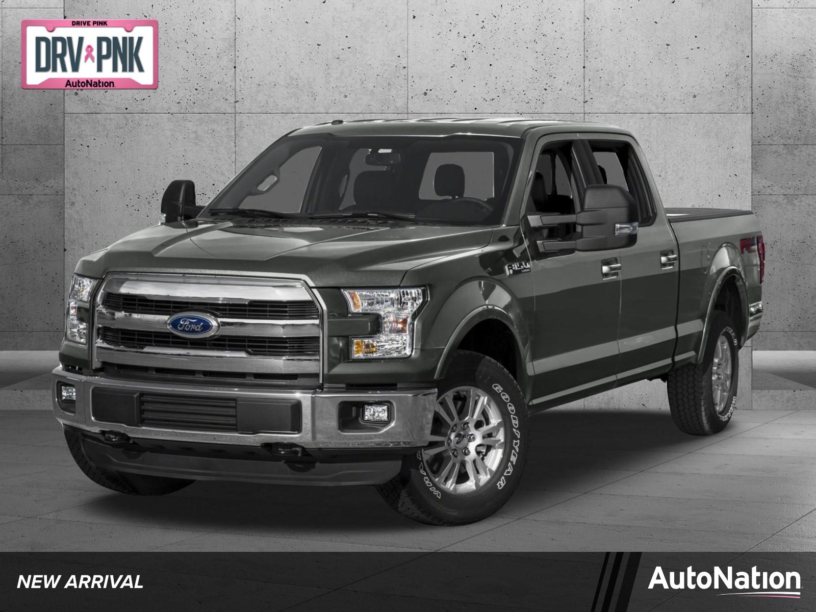 2015 Ford F-150 Vehicle Photo in Panama City, FL 32401