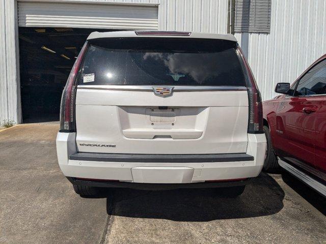 2019 Cadillac Escalade Vehicle Photo in BRUNSWICK, GA 31525-1881