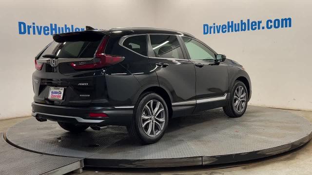 2020 Honda CR-V Vehicle Photo in INDIANAPOLIS, IN 46227-0991