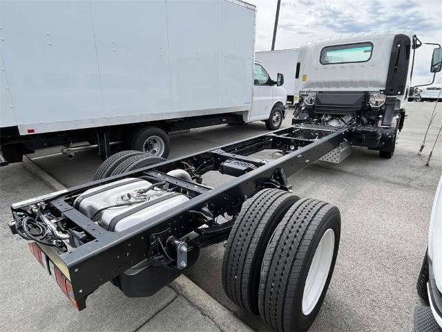 2024 Chevrolet 4500 HG LCF Gas Vehicle Photo in ALCOA, TN 37701-3235